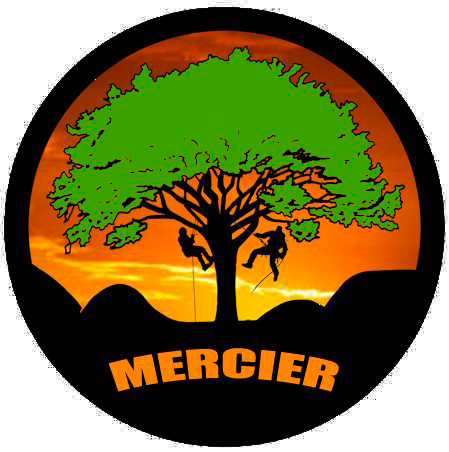 Logo Mercier grimpeurs arboristes