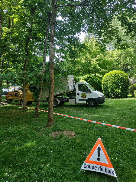 Abattage d'arbre dangereux en Suisse romande, Genève et Vaud