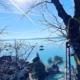 Taille de platanes en bord de lac pour dégager la vue à Coppet en Suisse