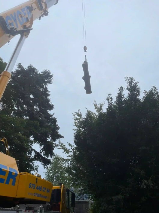 Abattage du cèdre grâce à la grue