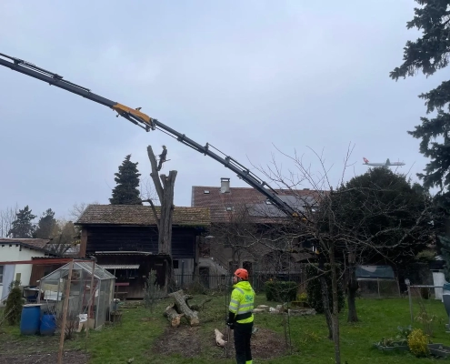 Démontage Acacia Vernier