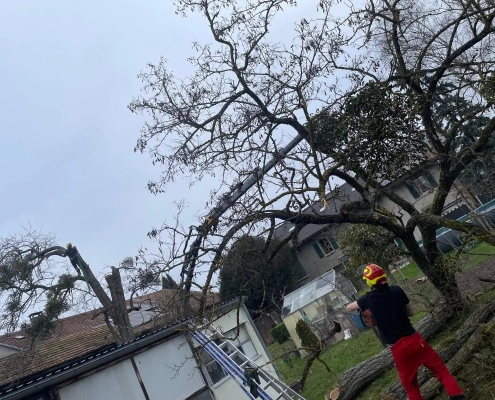 Démontage Acacia Vernier