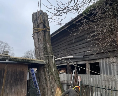 Démontage Acacia Vernier