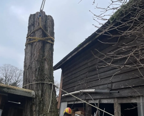 Démontage Acacia Vernier