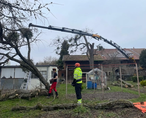 Démontage Acacia Vernier